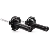 RIDEX 854S2108 Schokdemper