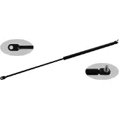 FEBI BILSTEIN 24695 Gasveer achterklep