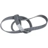 CONTITECH Multiriem 6PK1310 Contitech voor o.a. FIAT, FORD, LANCIA, OPEL