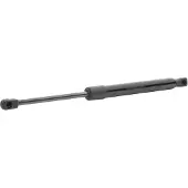 RIDEX 219G0434 Gasveer achterklep