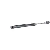 RIDEX 219G0922 Gasveer achterklep
