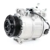 RIDEX 447K0114 Aircopomp