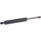 RIDEX 219G0502 Gasveer achterklep