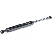 RIDEX 219G0252 Gasveer achterklep