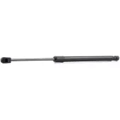 RIDEX 219G0246 Gasveer achterklep