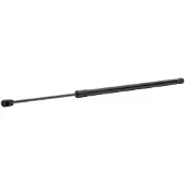 RIDEX 219G1043 Gasveer achterklep