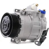 RIDEX 447K0287 Aircopomp