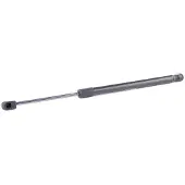 RIDEX 219G0890 Gasveer achterklep