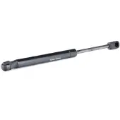 RIDEX 219G0286 Gasveer achterklep
