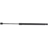 RIDEX 219G0065 Gasveer achterklep