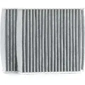 Delphi TSP0325229C Interieurfilter