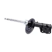 RIDEX 854S0500 Schokdemper