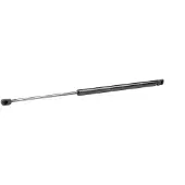RIDEX 219G0401 Gasveer achterklep