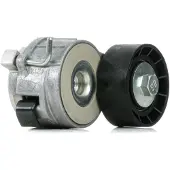 DAYCO Riemspanner, Poly V-riem APV2463