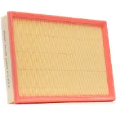 RIDEX 8A0257P Luchtfilter