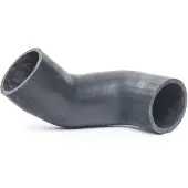 RIDEX 3314C0269 Laadluchtslang