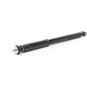 RIDEX 854S18952 Schokdemper