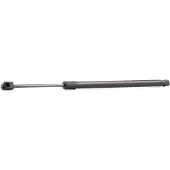 RIDEX 219G0607 Gasveer achterklep