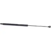RIDEX 219G0329 Gasveer achterklep