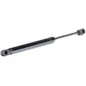 RIDEX 219G0597 Gasveer achterklep