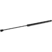 RIDEX 219G1110 Gasveer achterklep