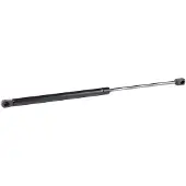 AUTOMEGA 100018410 Gasveer achterklep