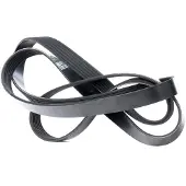 DAYCO 6PK1842 Multiriem