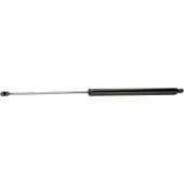 RIDEX 219G0154 Gasveer achterklep