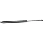 RIDEX 219G0410 Gasveer achterklep