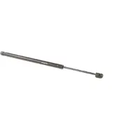 RIDEX 219G0912 Gasveer achterklep