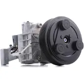RIDEX 447K0161 Aircopomp