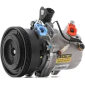 RIDEX 447K0290R Aircopomp