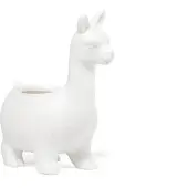 Kikkerland Lloyrd The Lama Planter