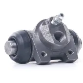 Delphi LW30059 Wielremcilinder