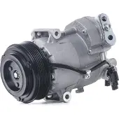 RIDEX 447K0293 Aircopomp