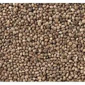 Beyers Hennepzaad - Kempzaad - 800 gram