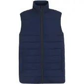 Regatta Professional Thermische bodywarmer voor heren (Marine)