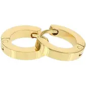 Kalli edelstalen Oorbel shiny 1898 Goud 10mm