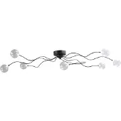 Masterlight Plafondlamp Gio 7-lichts zwart