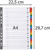 Exacompta Tabbladen karton 160g - versterkte gekleurde tabs + inbdexblad - 20 tabs - A tot Z - A4 - Wit - 1111E