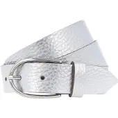 Vanzetti Riem zilver