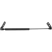 RIDEX 219G0171 Gasveer achterklep