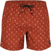 Brunotti Boardshorts 'Cester-Mini' | XXL | male