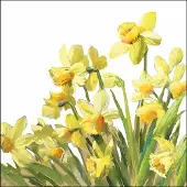 Ambiente - Lunch servetten - Golden Daffodils