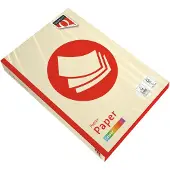 Quantore Kopieerpapier colour a4 160gr ivoor | 5 stuks