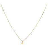Go Dutch Label ketting geluks klaver N9330-2 Goud
