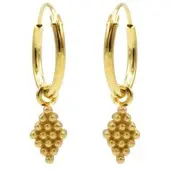 Karma symbols Oorring grapes goud M2948