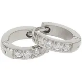Kalli edelstalen oorringen crystal 1922 Zilver 9mm