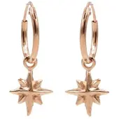 Karma Symbols oorbel Morningstar M1935