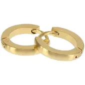Kalli Oorringen Edelstaal Mat Goud 1845 (12mm)